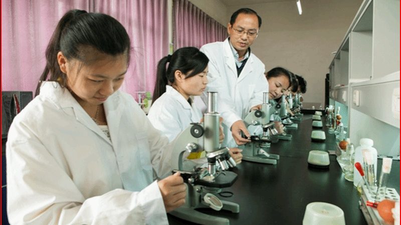 保健品代加工贴牌：揭秘保健品生产背后的秘密