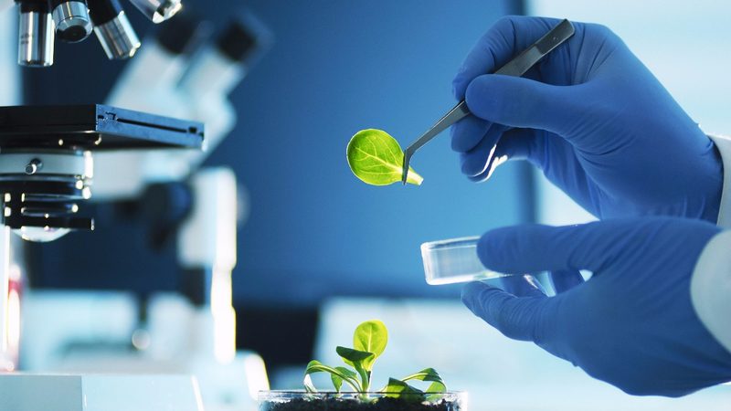医药流通企业分类与资质标准全解析